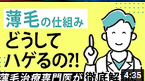 【薄毛治療】どうしてハゲるの？メカニズムを徹底解説!!
