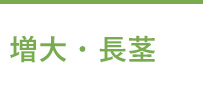増大・長茎