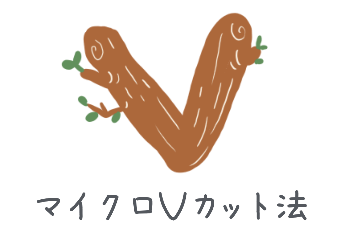 マイクロVカット法