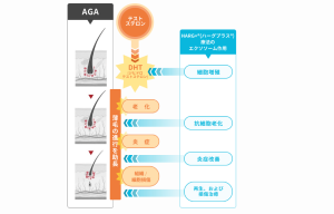 ハーグプラス