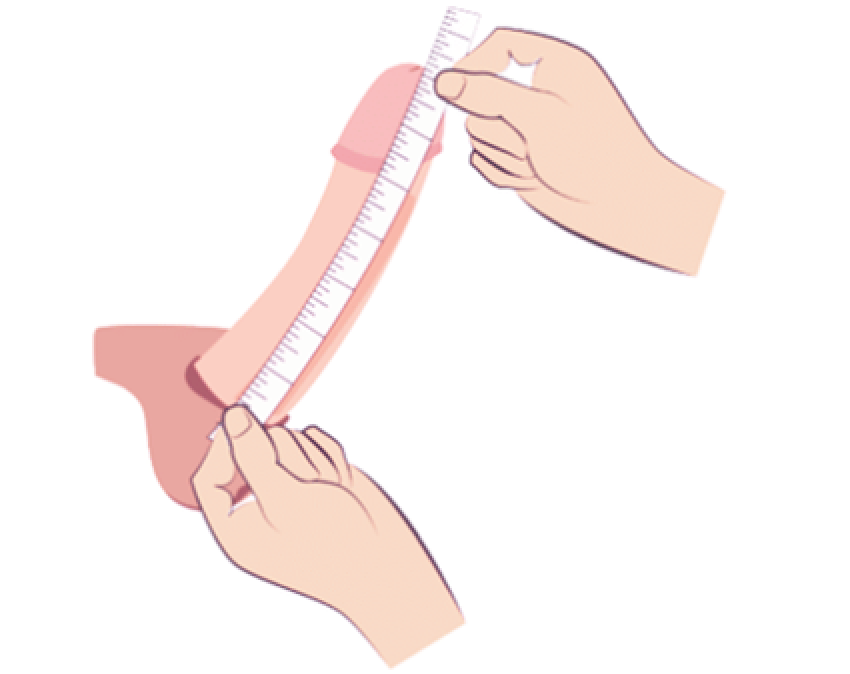ペニスの正しい測定方法