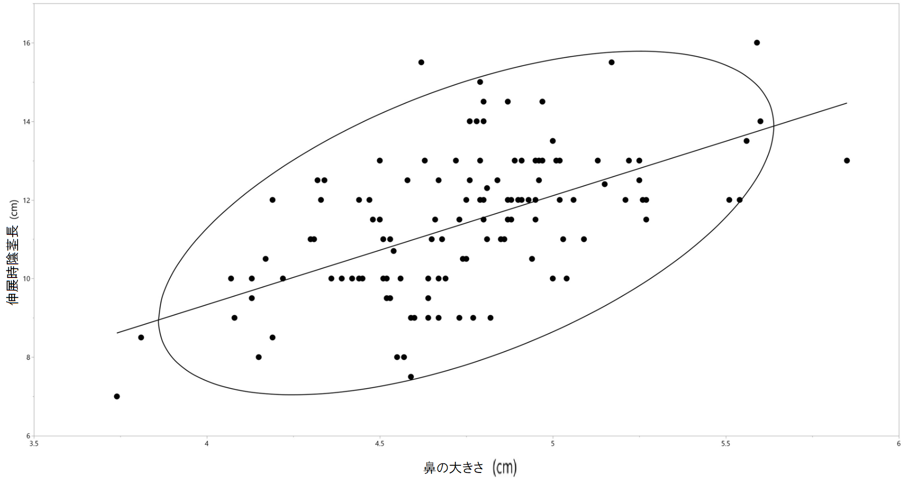 鼻の大きさとペニスの大きさ