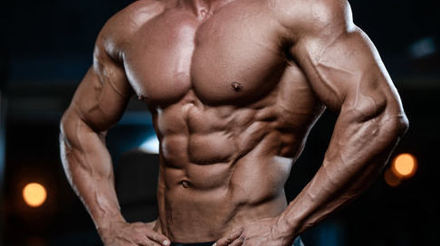 トンカットアリで筋力アップ