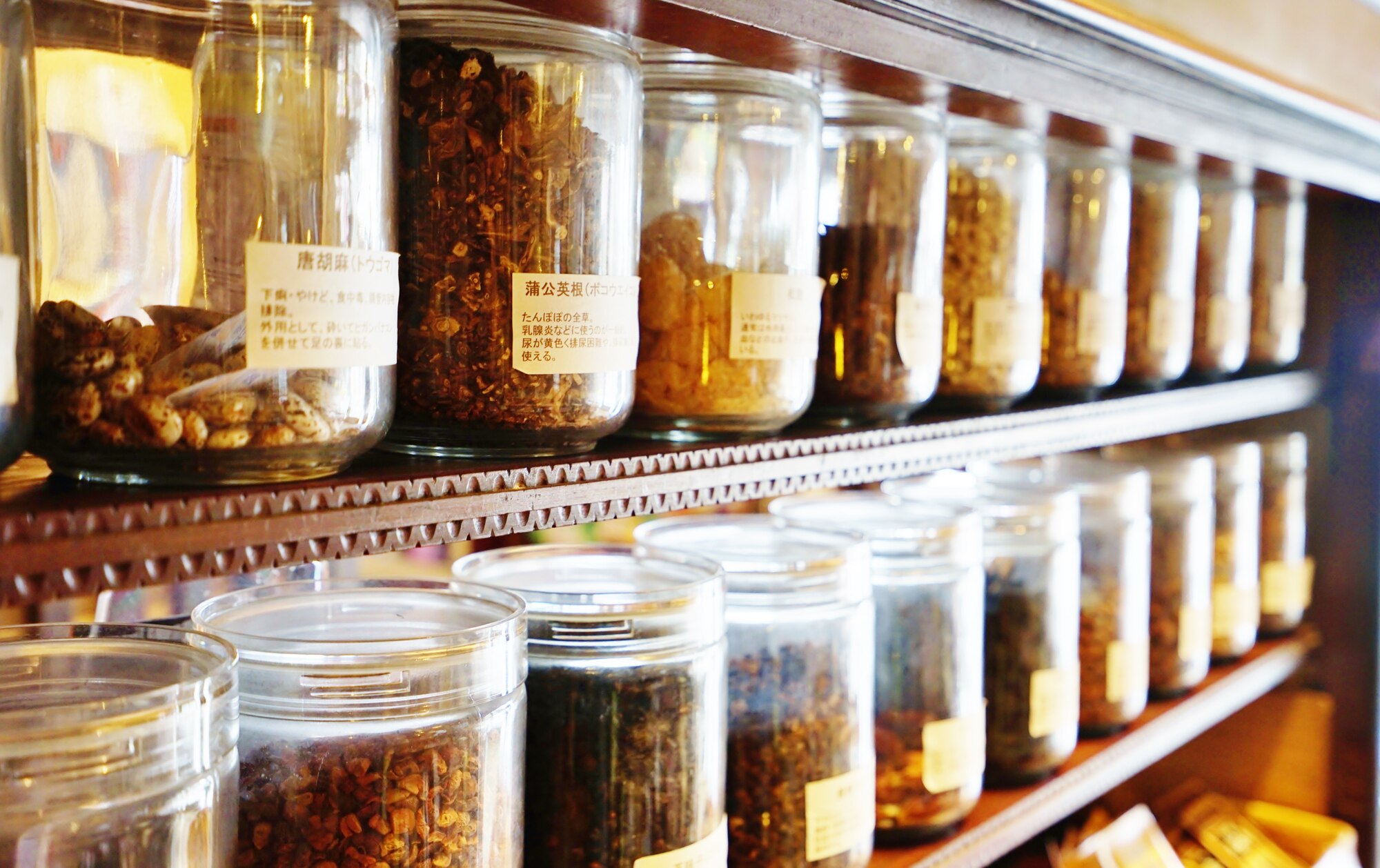 漢方薬でEDは改善する?種類別効果と治療法の選び方